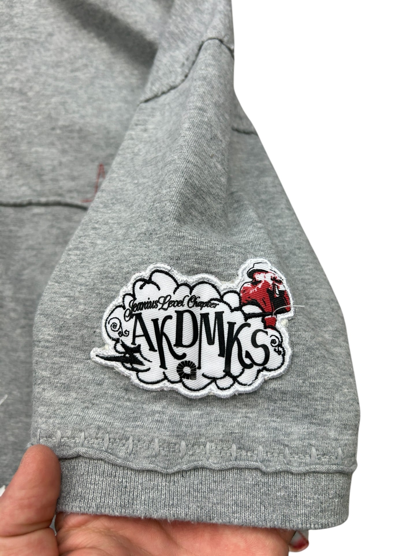 Early 2000’s Akademiks Jeanius Levels Polo Shirt