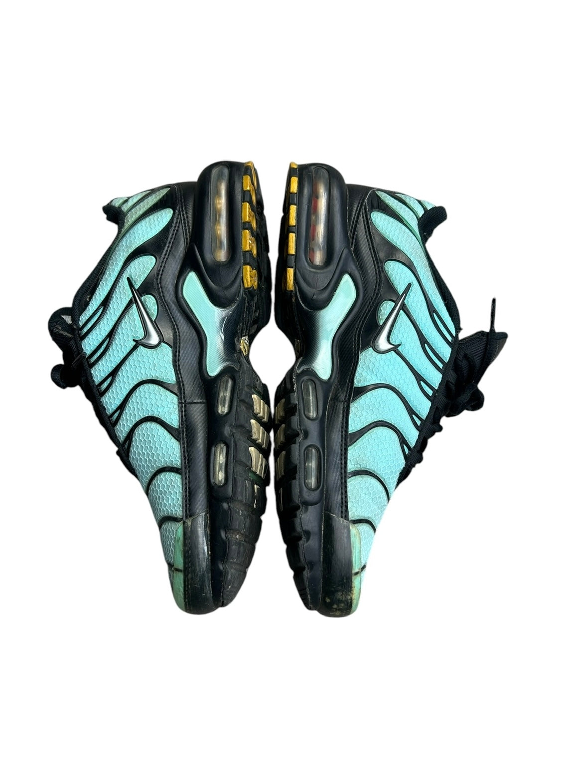 Nike air max plus tn “Tiffany Blue”